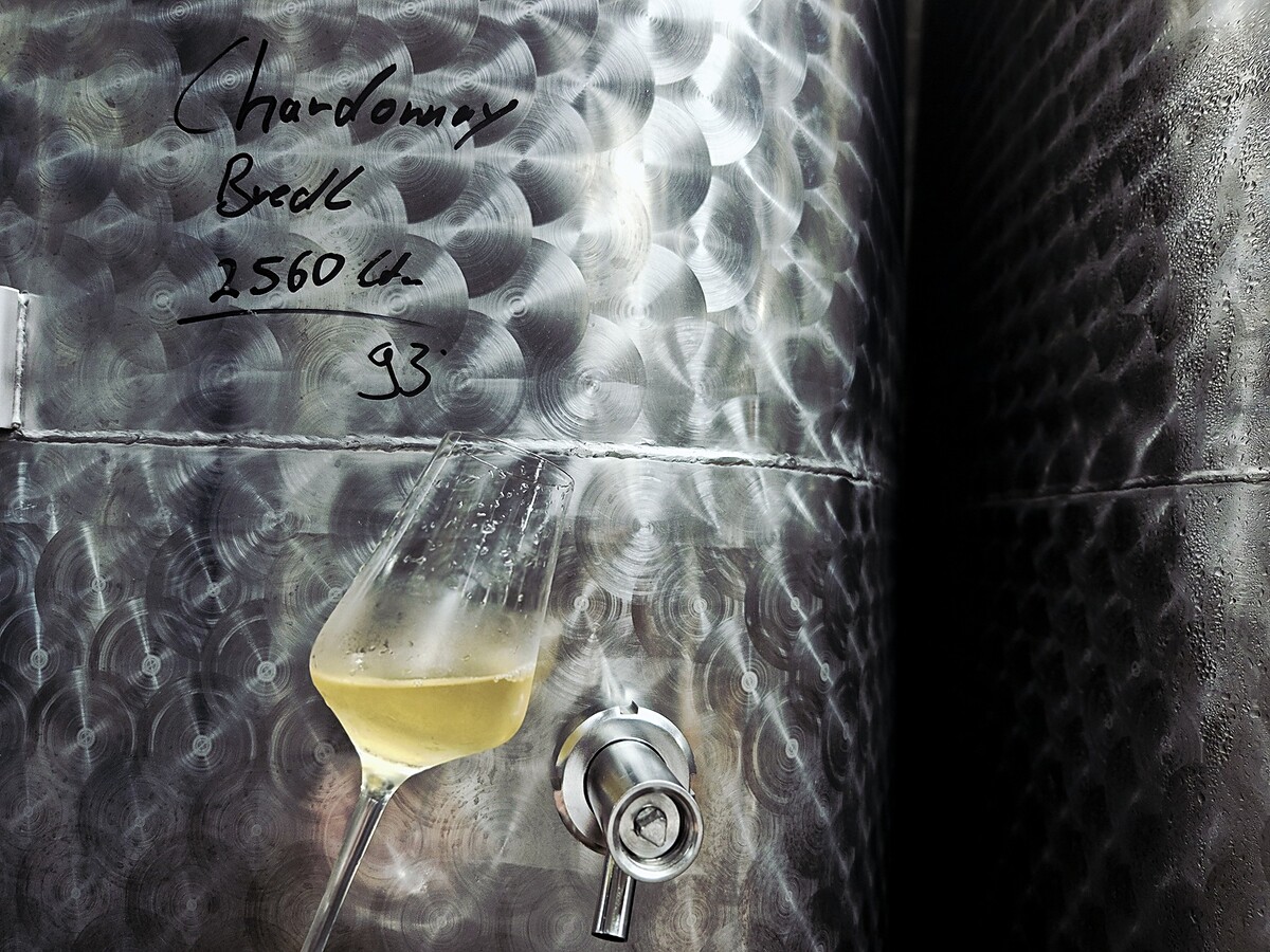 Weinlese 2026 | © Weinmanufaktur Lidy GbR
